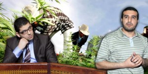 cannabis-parlement-maroc